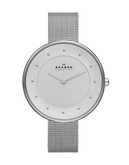 Skagen Denmark Klassic Silver mesh Glitter watch. - Grey