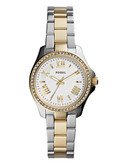 Fossil Womens Cecile Petite 3hand Watch AM4579 - Two-Tone