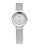 Skagen Denmark Stainless Steel Mesh Bracelet With Silver Dial Watch - SILVER