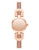 Dkny DKNY Round Stainless Steel Mesh Bracelet Watch - Rosegold