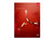 Adobe Acrobat XI Professional for Windows - Full Version