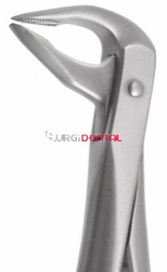 Apical 74 Extracting Forceps, Lower Anteriors