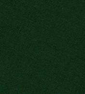 Solid Plain Weave Tea Towel 20in x 28in Green