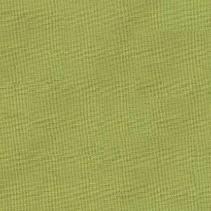 Solid Plain Weave Tea Towel 20in x 28in Lime Green