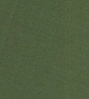 Solid Plain Weave Tea Towel 20in x 28in Sage