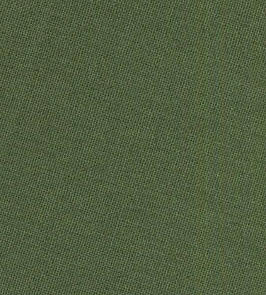 Solid Plain Weave Tea Towel 20in x 28in Sage