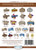 Mylar Embroidery CD Designs Mylar Texas 2