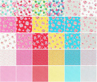 2-1/2in Strips Flower Sugar Spring 42 Pieces