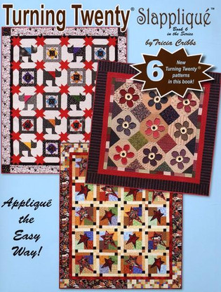 Turning Twenty Slapplique Book #6