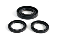 Differential Seal Kit WE290120