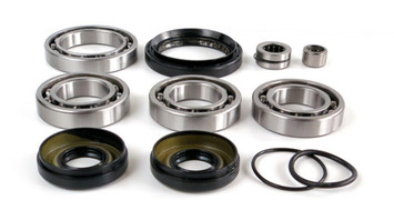 Differential Bearing and Seal Kit WE290127