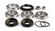 Differential Bearing and Seal Kit WE290127