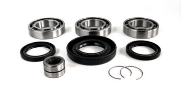 Differential Bearing and Seal Kit WE290128