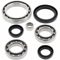 Differential Bearing & Seal Kit - WE290138