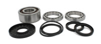 Differential Bearing & Seal Kit - WE290142