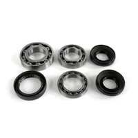 Differential Bearing & Seal Kit - WE290147