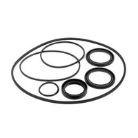 Differential Seal Kit - WE290150