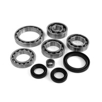 Differential Bearing & Seal Kit - WE290152