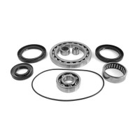 Differential Bearing & Seal Kit - WE290153