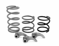 Sand Dune Clutch Kit WE437435