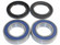 Wheel Bearing Kit WE301130