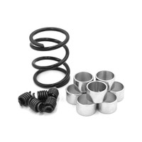 Sand Dune Clutch Kit WE495027