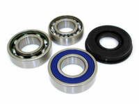 Driveshaft bearing and seal kit EPIBK117