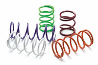 Spring EPI Primary Clutch Spring - Purple - DRS17 - EPI
