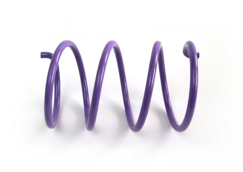 Secondary Clutch Spring - Purple - ACSS-5 (ACSS5) - EPI