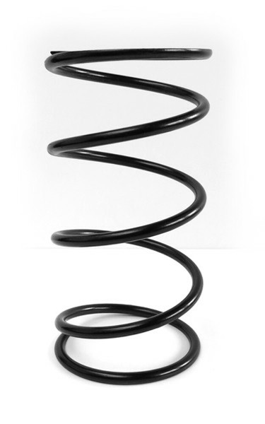 Secondary Clutch Spring - Red - PDS-19 (PDS19) - EPI