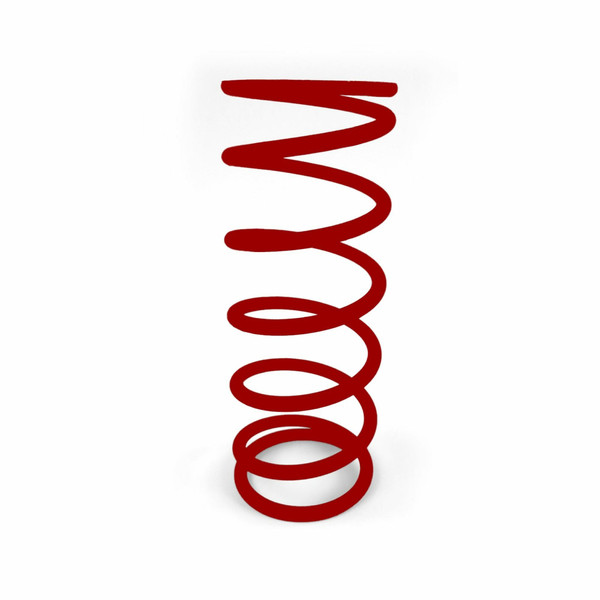 argus RS Spring SS Spring レッドスプリング 約20cm Secondary Clutch Spring - Red - SRER2 - EPI