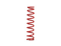 Heavy Duty Suspension Spring WE320010