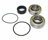 Driveshaft bearing and seal kit EPIBK107