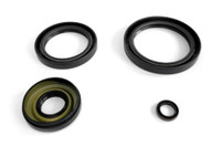 Differential Seal Kit WE290103
