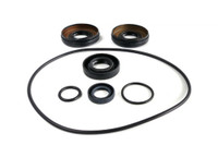 Differential Seal Kit WE290105
