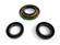 Differential Seal Kit WE290107