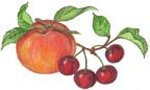 Cherry Peach L'Amour ~ 16 oz