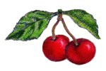 Eastern Sour Cherry ~ 16 oz