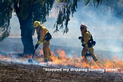 wildland-firefighter-sweathawg.jpg wildland-firefighter-sweathawg.jpg