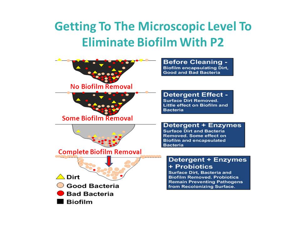getting-to-the-microscopic-level-to-eliminate-biofilm.jpg
