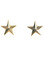 ¾" Gold or Silver 2pc Directors Star Set 


Director 2pc and Coordinator 4pc 3/4" stars sold by sets of 2.

Check which set -color and how many need

Pins are individually pinned on both epaulets. 

Gold is the basic standard for Directors and Coordinators.