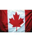 2' X 3' Canadian flag attached to a stick. Great for your VBS program