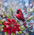 Winter Cardinal by Holly Hanley Copyright 2025