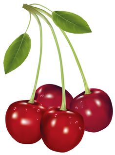 bordeaux-cherry-1.jpg