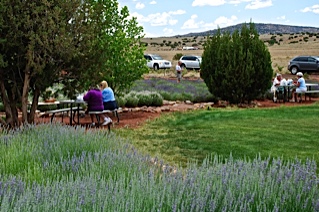 picnic-area.jpg