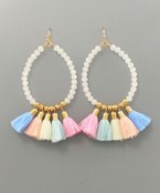 Multicolored Tassel Earrings 
