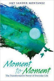Moment to Moment: The Transformative Power of Everyday Life