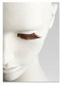 Smiink Brown/ Blonde Lash Products Tiger Eyes