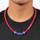 Los Angeles Clippers NBA Titanium Necklace