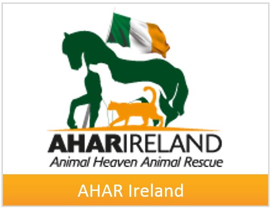 box-ahar.jpg box-ahar.jpg
